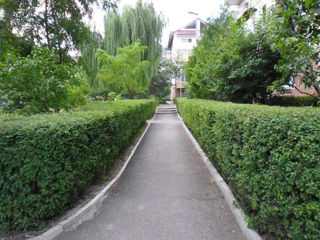 Apartament Rebeca *